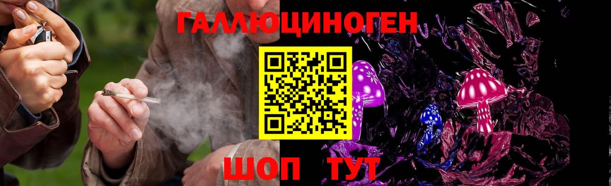 Галлюциногенные грибы прущие грибы Бахчисарай